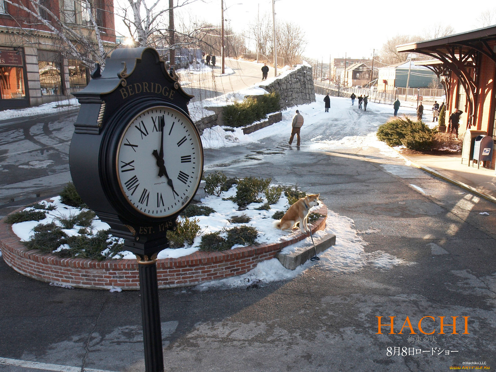 hachiko, dogs, story, , 